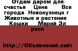 Отдам даром для счастья. › Цена ­ 1 - Все города, Новокузнецк г. Животные и растения » Кошки   . Марий Эл респ.